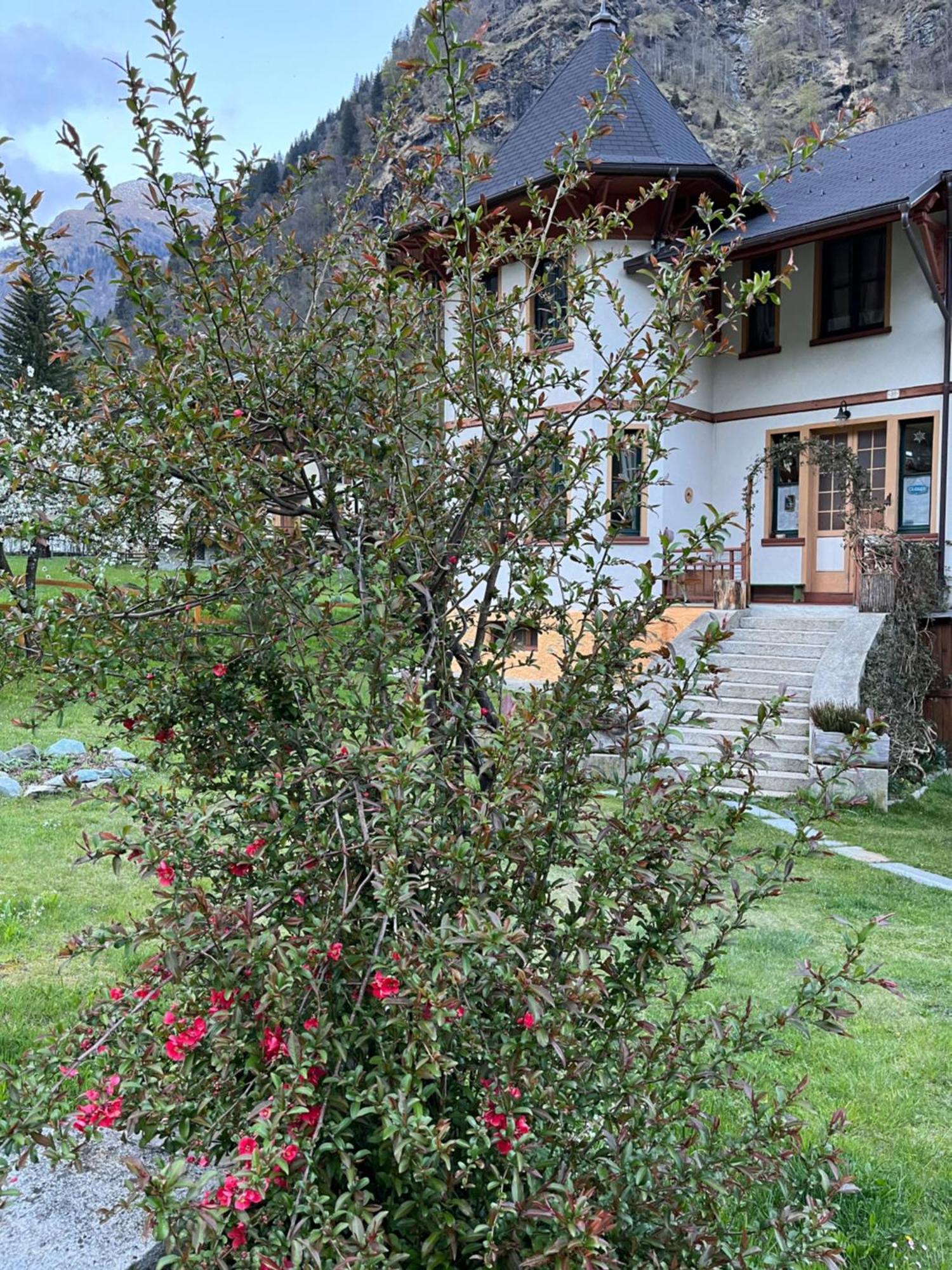 L'Aria Di Casa Bed & Breakfast Alagna Valsesia Luaran gambar