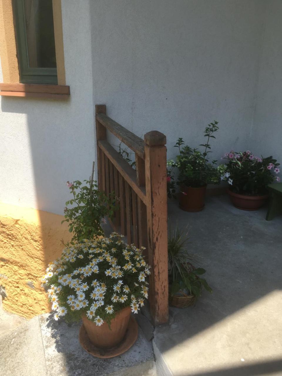 L'Aria Di Casa Bed & Breakfast Alagna Valsesia Luaran gambar